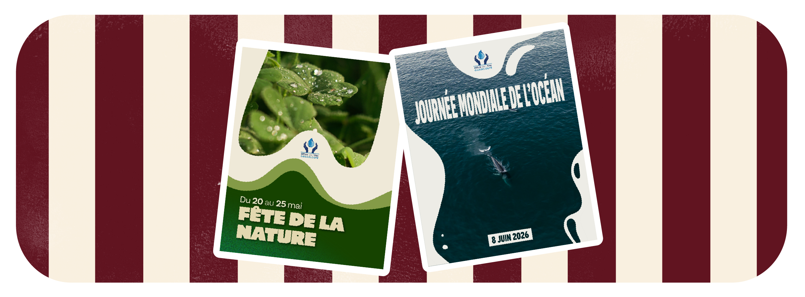 Projet Office de l'Eau